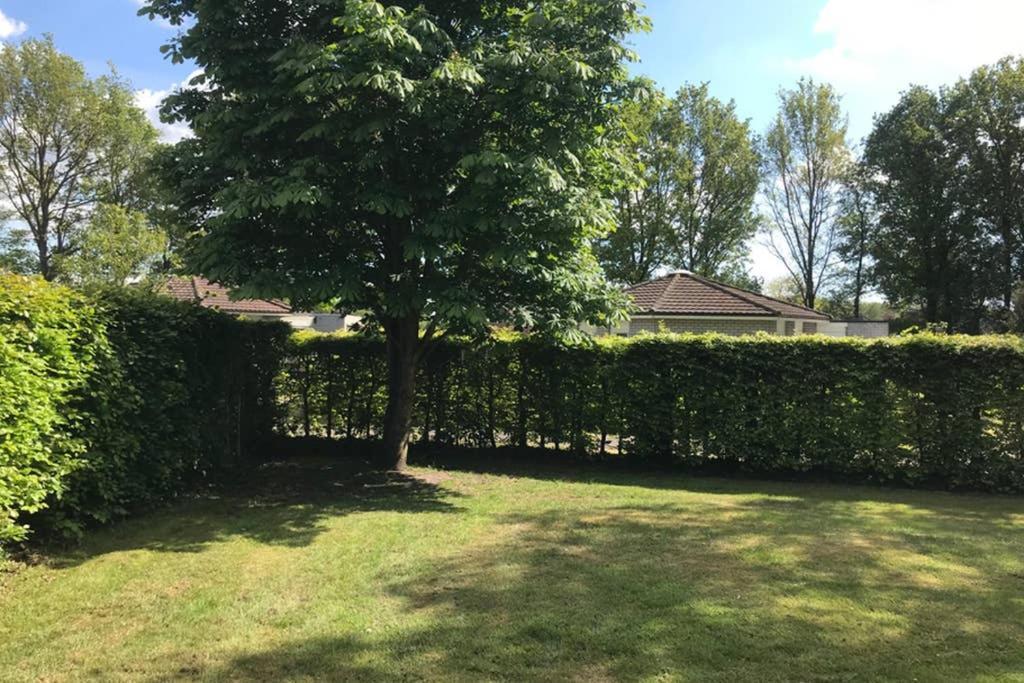 Rustig Gelegen Bungalow In Mooi 하펠트 외부 사진